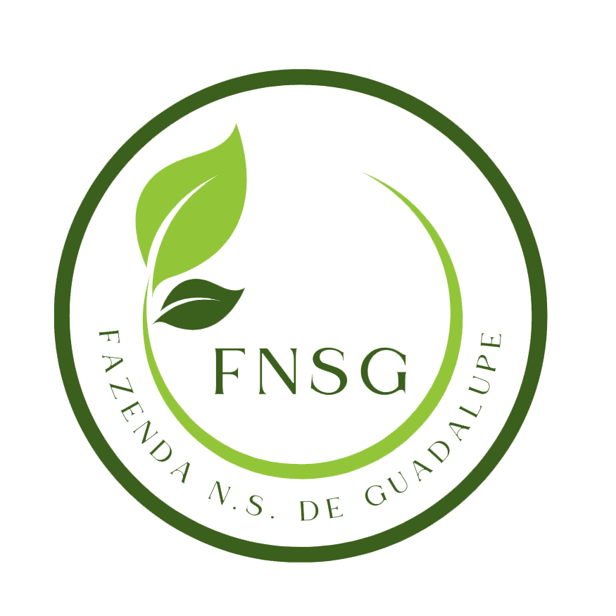 Logo FNSG